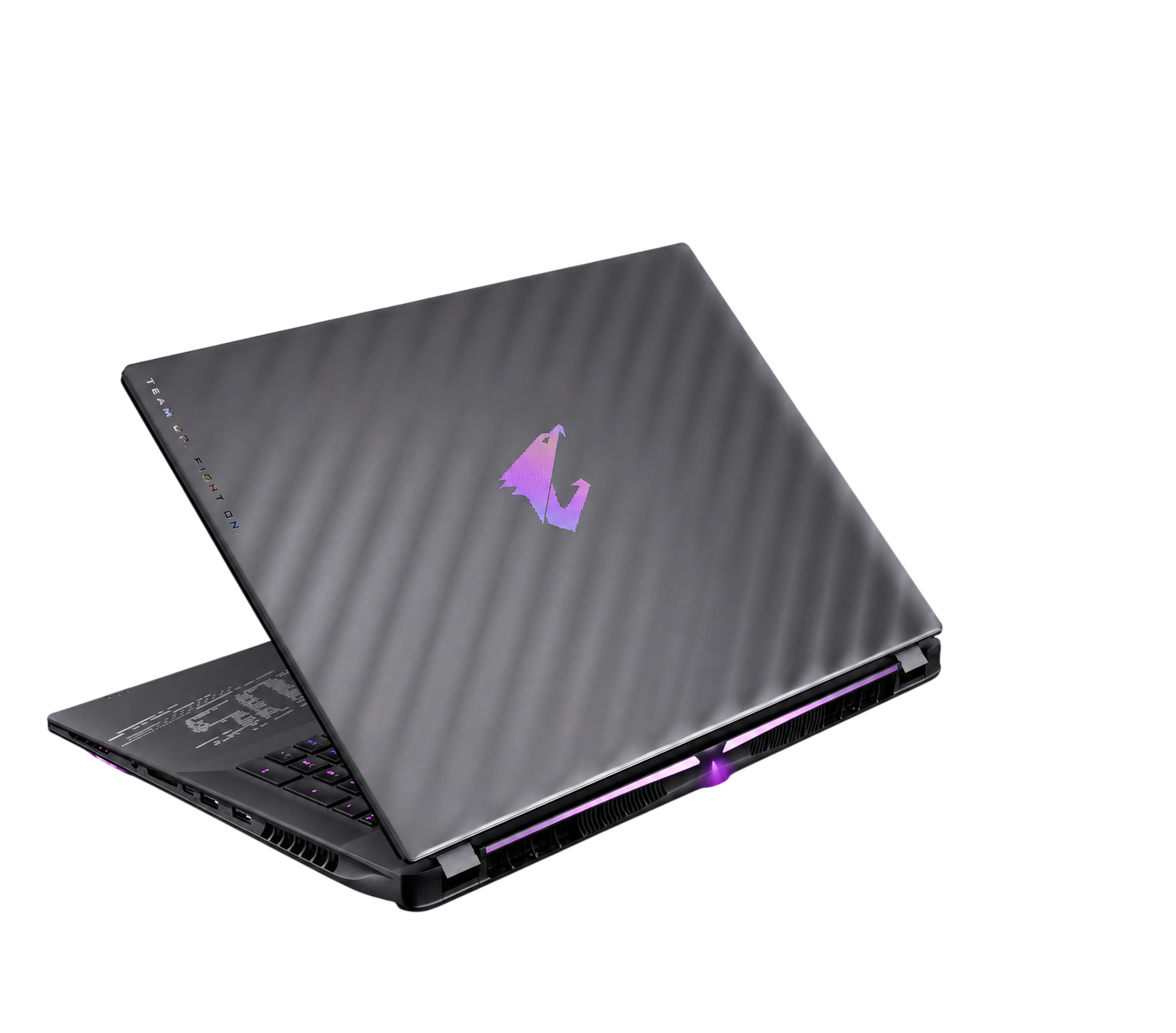 Laptop Display