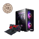 AMD RYZEN - 4060 TI